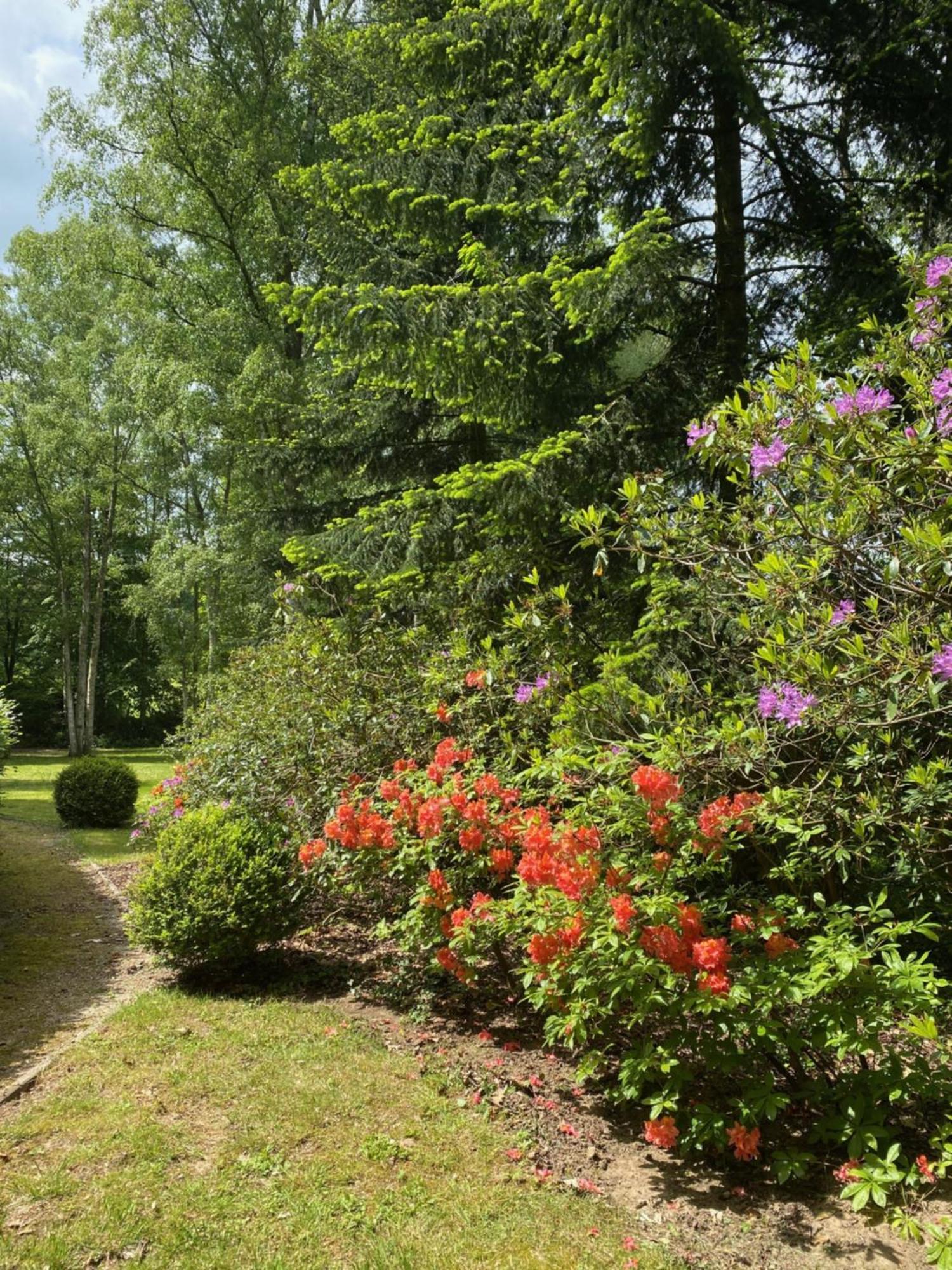 B&B Miranoza Oud-Heverlee ภายนอก รูปภาพ